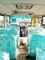 Conception aérodynamique promotionnelle de caboteur d'autobus scolaire spécial classique de minibus fournisseur
